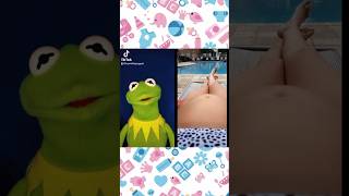 Pregnancy Challenge TikTok Gone WRONG With Kermit The Frog [upl. by Jensen]