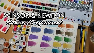 Winsor amp Newton Comparison and Review  Cotman vs Professional [upl. by Kinelski771]