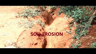 Soil Erosion with Lyrics and a Self Test Lesson 2 Primary 5 Term 2 [upl. by Anire]