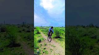 cycle stoppie stunt youtubeshorts [upl. by Kristal]