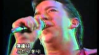 Boz Scaggs  Were All Alone （1983年の日本公演） [upl. by Dottie]