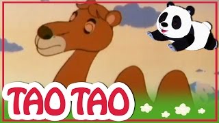 Tao Tao  episodi 7  Valkoinen naaraskameli [upl. by Newcomb302]