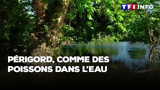 Dordogne  un ascenseur pour repeupler les rivières en saumons [upl. by Ignatz]