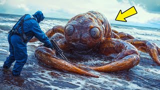 Ancient Creature Washes Up After Thousands of Years — Sailors Face the Scariest Ocean Mystery [upl. by Neeliak705]