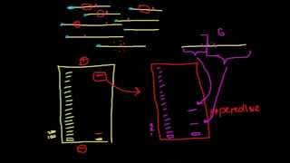 Modification interference assays [upl. by Odarbil]