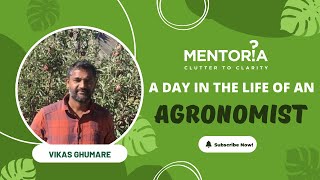 Become an Agronomist Career in Agronomy amp Agriculture  Mentoria [upl. by Annirac447]