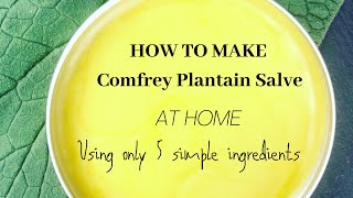 How to Make Comfrey Plantain Salve at Home with 5 simple ingredients Amazing Healing Salve [upl. by Einafit]