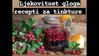 LJEKOVITOST GLOGA TRI RECEPTA ZA TINKTURE 🍃 [upl. by Neeka]