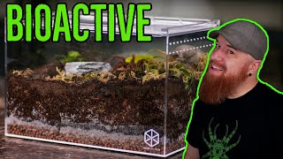 How To Build a Tarantula Bioactive Enclosure  YOU CAN DO IT [upl. by Lednic]