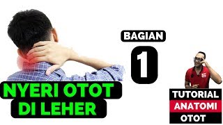 otot leher tegang dan kaku  Bagian 1 [upl. by Claybourne]