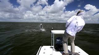 Fly Fishing for Big Tarpon in the Florida Everglades [upl. by Anilra]