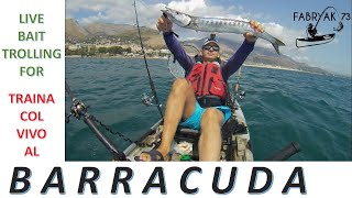 Kayak Fishing Live bait trolling for barracuda traina col vivo al barracuda [upl. by Ynnatirb]