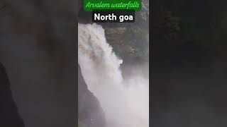 North Goa Arvalem waterfalls shortvideo short shorts shortsfeed [upl. by Erbes]