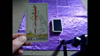 Ace of wands tarot card meaning [upl. by Rizzo]