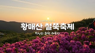 황매산 철쭉축제 지금이 절정 입니다 5월에 가볼만한곳 합천여행 산청여행 [upl. by Marisa]