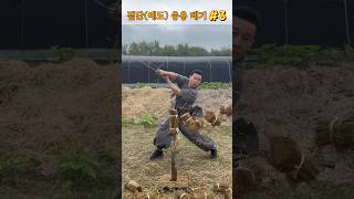 진검베기  짚단예도 응용 베기 3 straw swordsmanship cuttingskills martialarts korea sword [upl. by Nap]