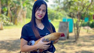 Maganda ba mag BREED ng manok Another BUSINESS na kaya [upl. by Tizes]