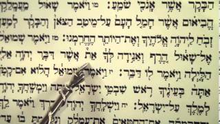 Haftorah Haftarah Reading for Parsha Zachor Amalek before Purim הפטרת זכור קריאה לפני פורים [upl. by Akirea]