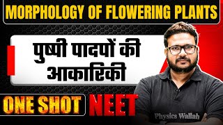 MORPHOLOGY OF FLOWERING PLANTS in 1 Shot  पुष्पी पादपों की आकारिकी  Concepts amp PYQ Covered  NEET [upl. by Christophe]