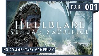 Hellblade Senuas Sacrifice │ Part 1 Game Play │ Backlogged Games [upl. by Ntisuj]