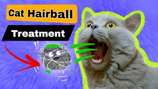 How to Treat Cat Hairballs  Cat Pukes Hairball  Symptoms and Treatment [upl. by Alonzo2]