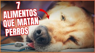 7 Alimentos que pueden llegar a MATAR a tu PERRO [upl. by Verla]