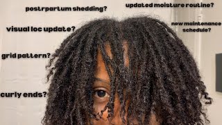 how to moisturize locs ￼ microlocs maintenance  18 month two strand twist microlocs journey [upl. by Clava928]