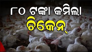 Bird Flue In Odisha  ଶସ୍ତା ହେଲା ଚିକେନ୍Chicken Price Fall Due To Bird Flu Scare FuelledH5N1 Virus [upl. by Marlette]