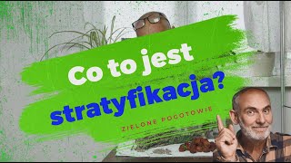 Co to jest stratyfikacja nasion [upl. by Gredel]