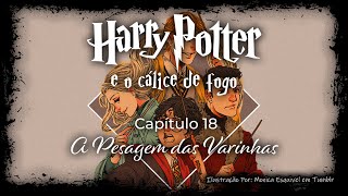 Harry Potter e o Cálice de Fogo  Capitulo 18  A Pesagem das Varinhas [upl. by Lednahc884]