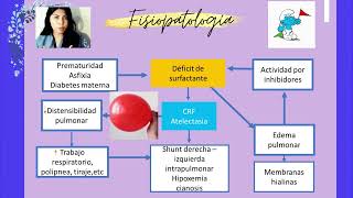 MEMBRANA HIALINA SRD I [upl. by Pru]