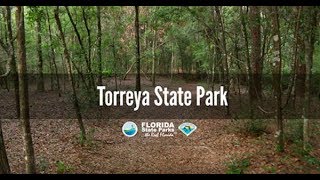 Firsthand Florida Fun Torreya State Park [upl. by Ventre84]