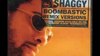 Shaggy  Boombastic Sting Remix [upl. by Nedah]