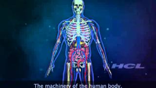 The Organ Systems of the Human Body [upl. by Cinamod52]