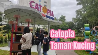 CATOPIA TAMAN KUCING SHAH ALAM [upl. by Gibbie272]