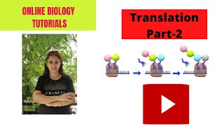 Translation class 12 Biology I Part2 I Molecular Basis of Inheritance I Chapter 6 [upl. by Anitnauq930]