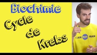 Cours de biochimie cycle de Krebs [upl. by Litta]