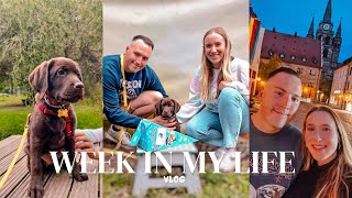 Puppy School Date Night amp New Routines  Weekly Vlog [upl. by Tamah]