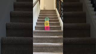 Slinky down stairs with new and bigger slinky [upl. by Decrem516]