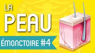 COMMENT FAIRE POUR AVOIR UNE PEAU RADIEUSE   Les Émonctoires en Naturopathie [upl. by Nywde]