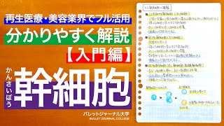 幹細胞について【ヒト幹細胞・ヒト幹細胞培養液・エイジングケア・ターンオーバー・抗老化におすすめな幹細胞について解説】 [upl. by Ellard721]