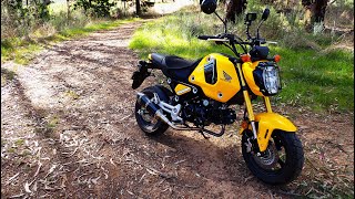 2022 Honda Grom 5 Speed  Plus A New Bike Coming Soon [upl. by Hurff]