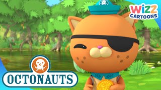 Octonauts  Pirate Adventures with Kwazii  Compilation  Wizz Cartoons [upl. by Nyvlem]