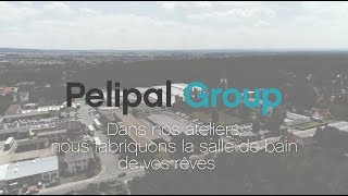 Pelipal à l’ecran [upl. by Aihcila]