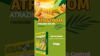 ATRAZOOM  Atrazine 50 WP Herbicide [upl. by Vitia]