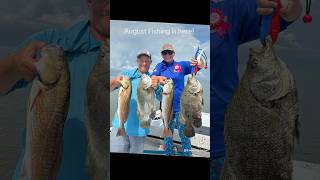 Incredible Fishing season is here Yankeetown Florida tripletail redfish blackdrum boat girl [upl. by Herzig]