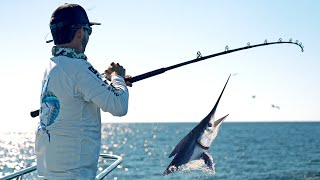 We Caught Over 100 Marlin in 24 Hours [upl. by Ayiotal]