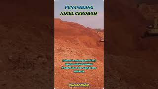 BEGINILAH PENAMBANG NIKEL TANPA ENGGINER [upl. by Hussey]