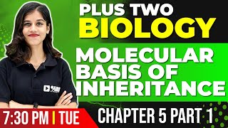 Plus Two Biology  Molecular Basis of Inheritance  Chapter 5 Part 1  Exam Winner [upl. by Gnoc]