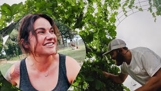 Working at Roots and Refuge Farm gardening and homesteading  VLOG [upl. by Albers527]